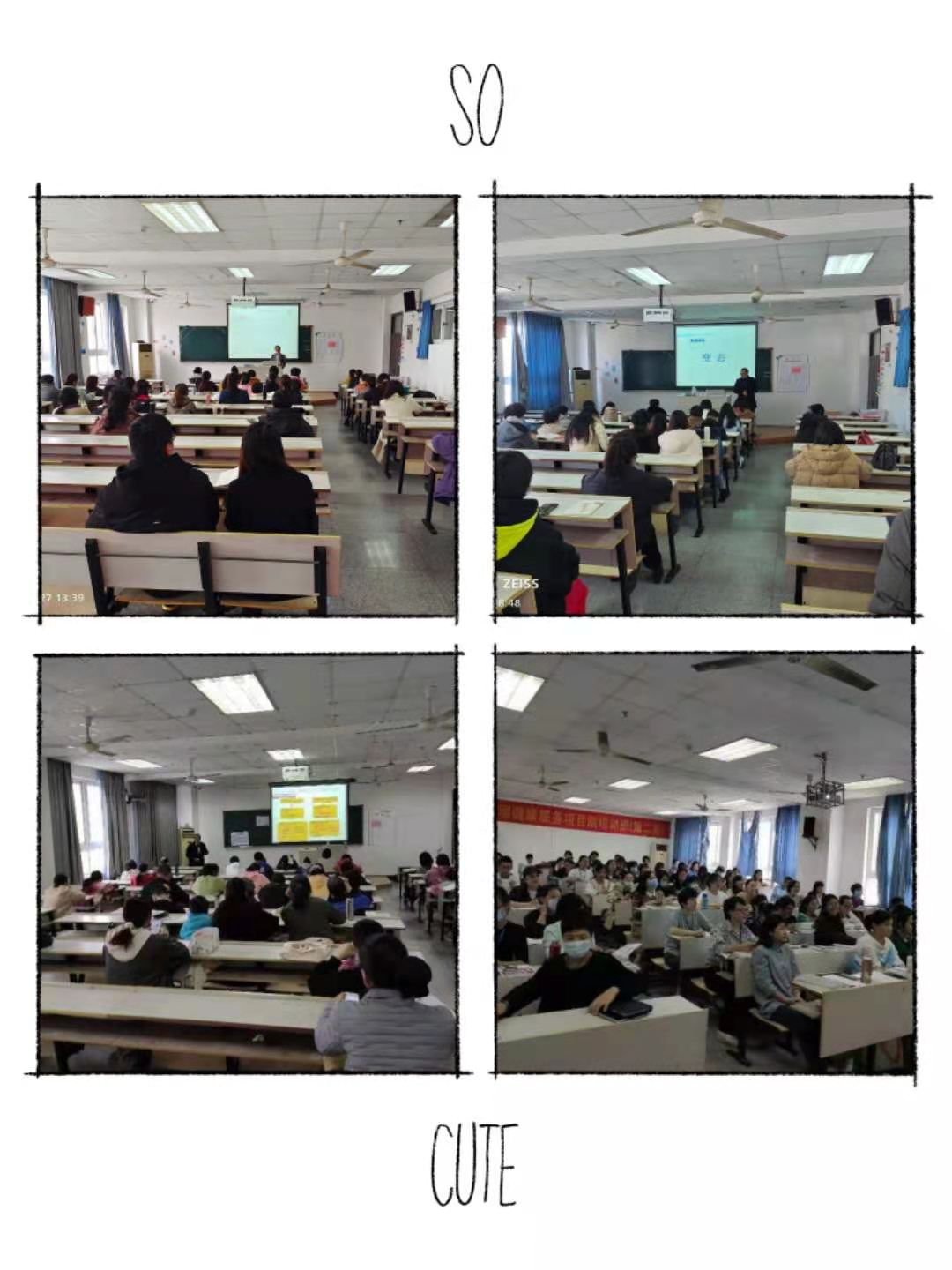 4e5747f9cc4cfae7e205fc5cf94bda5