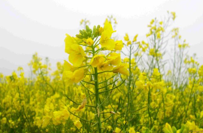 d338d8a8847edabbce33703ebf78cf3a