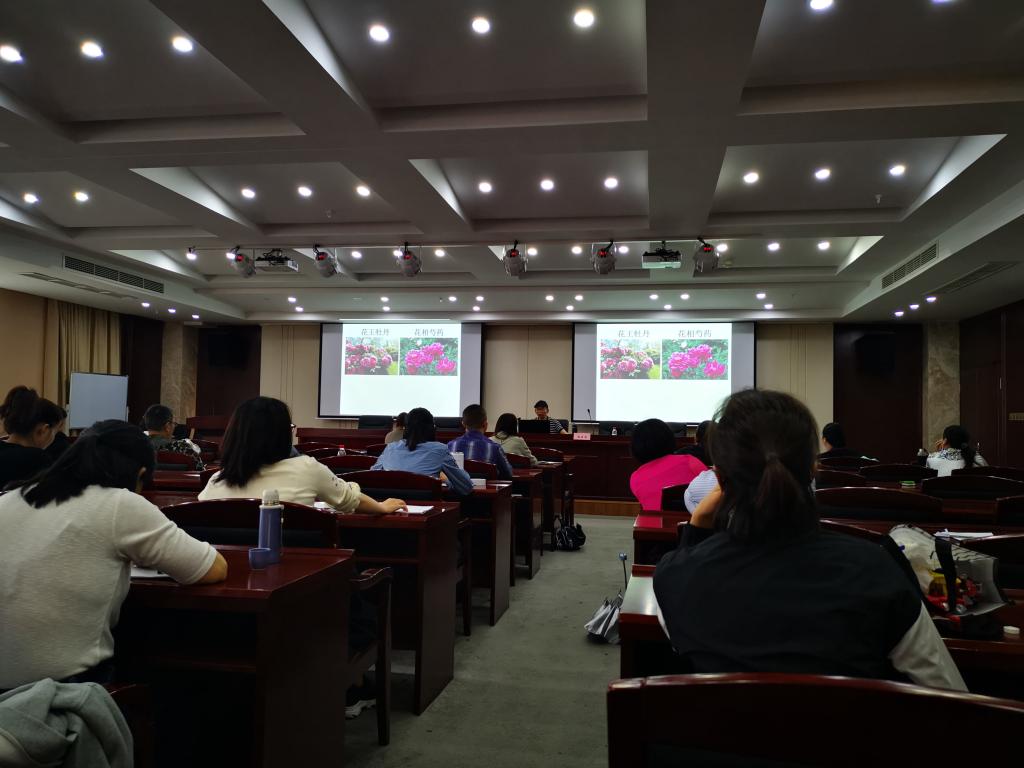 7d3c2771fd4834c7147de5657a81163