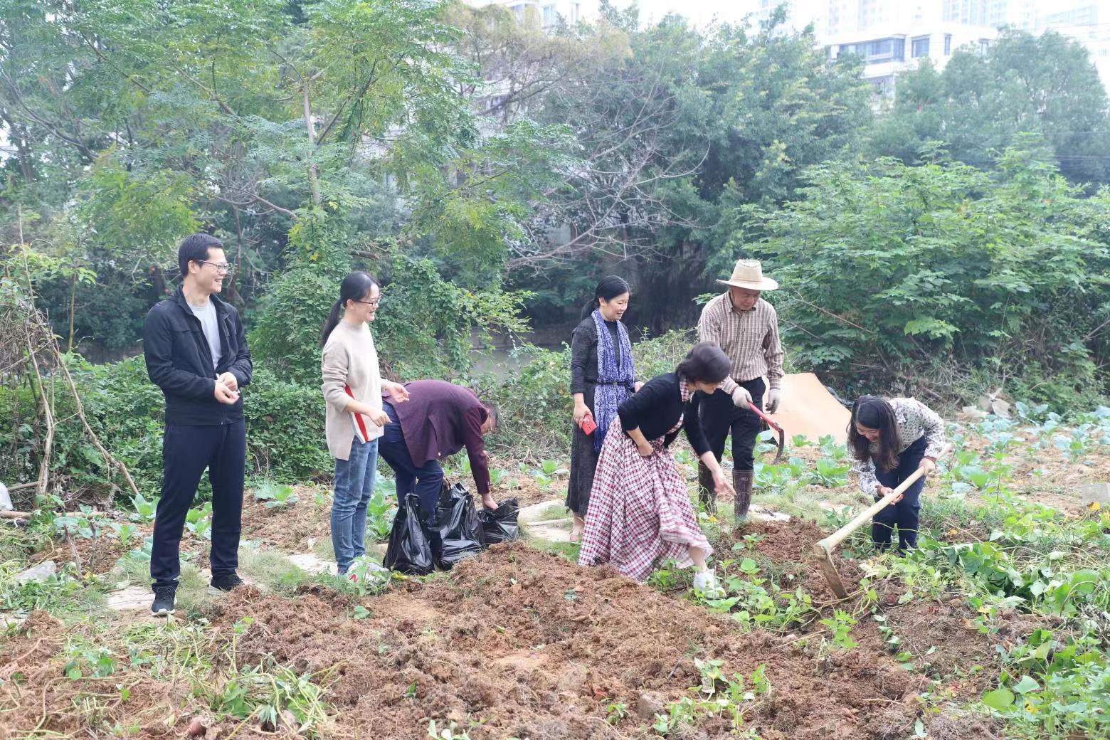 6cf40fe77063cd4f05bcd0c924f231a