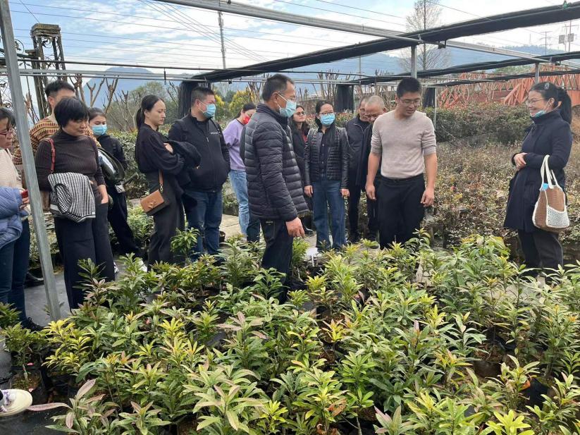 35e1c7f67d839f12318aa3d5c55fa2c