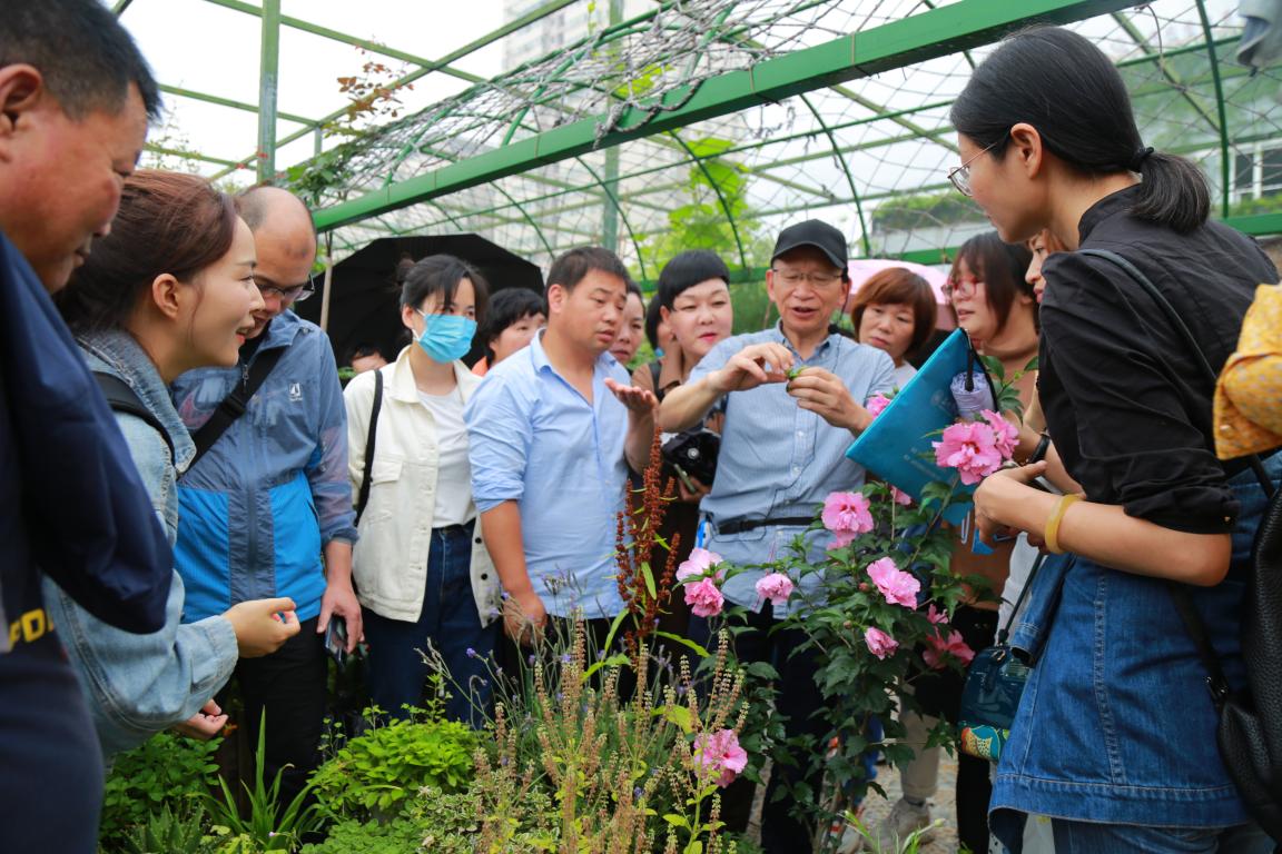 96731b4bd23a135c392b85feb909f80