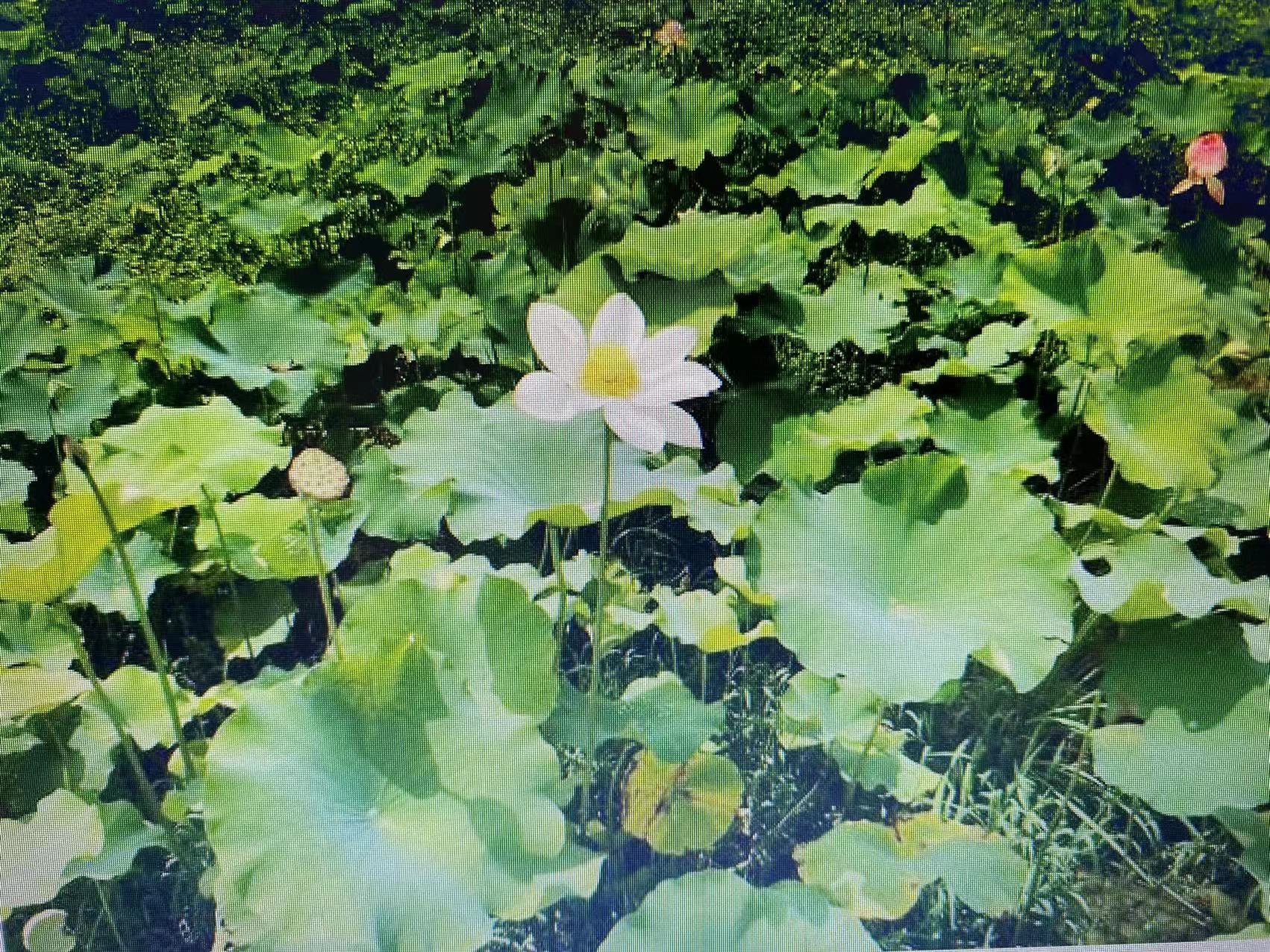 微信图片_20211105094729