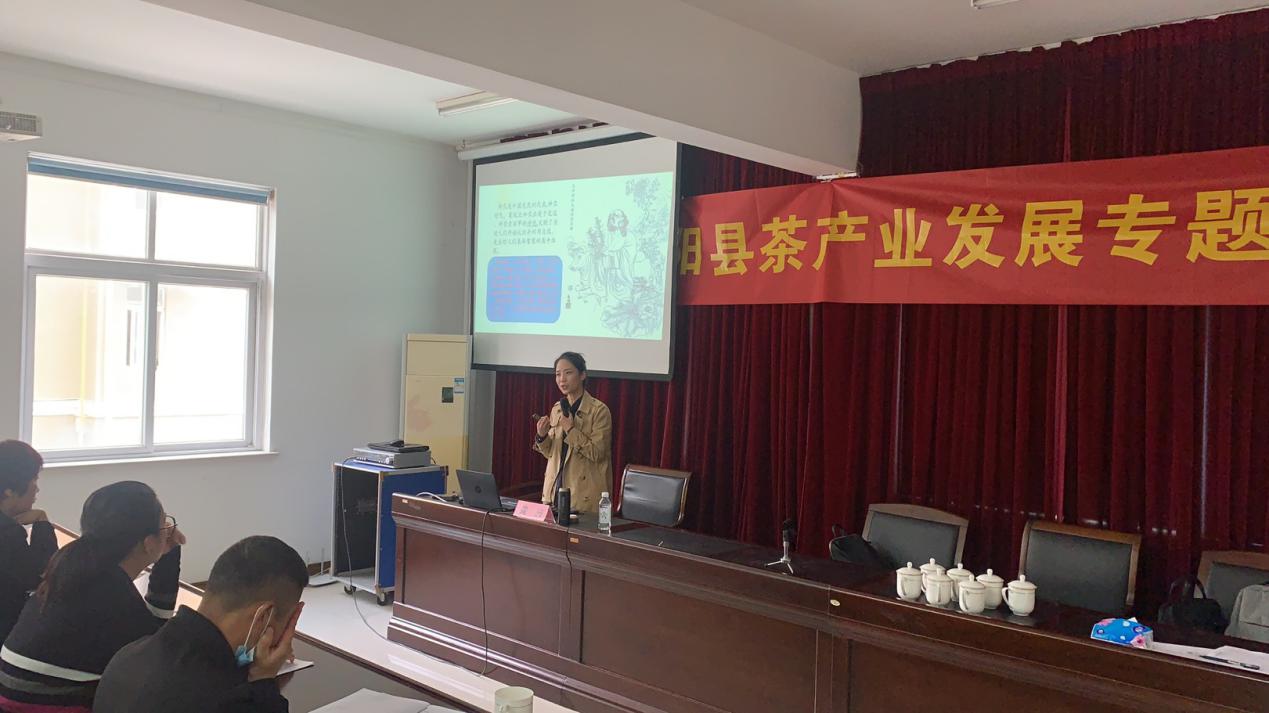 523522faf6ff25e4d05dee2b5fc0d72