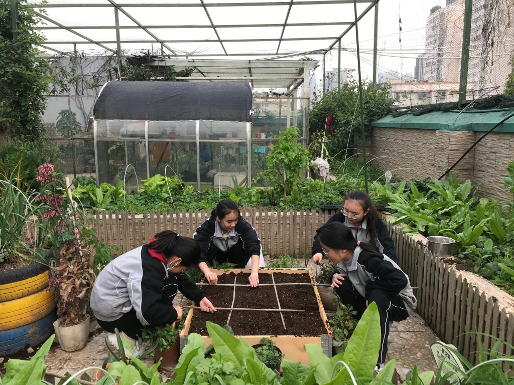 e17de56d1fad9debdf5f51676bfb1f1