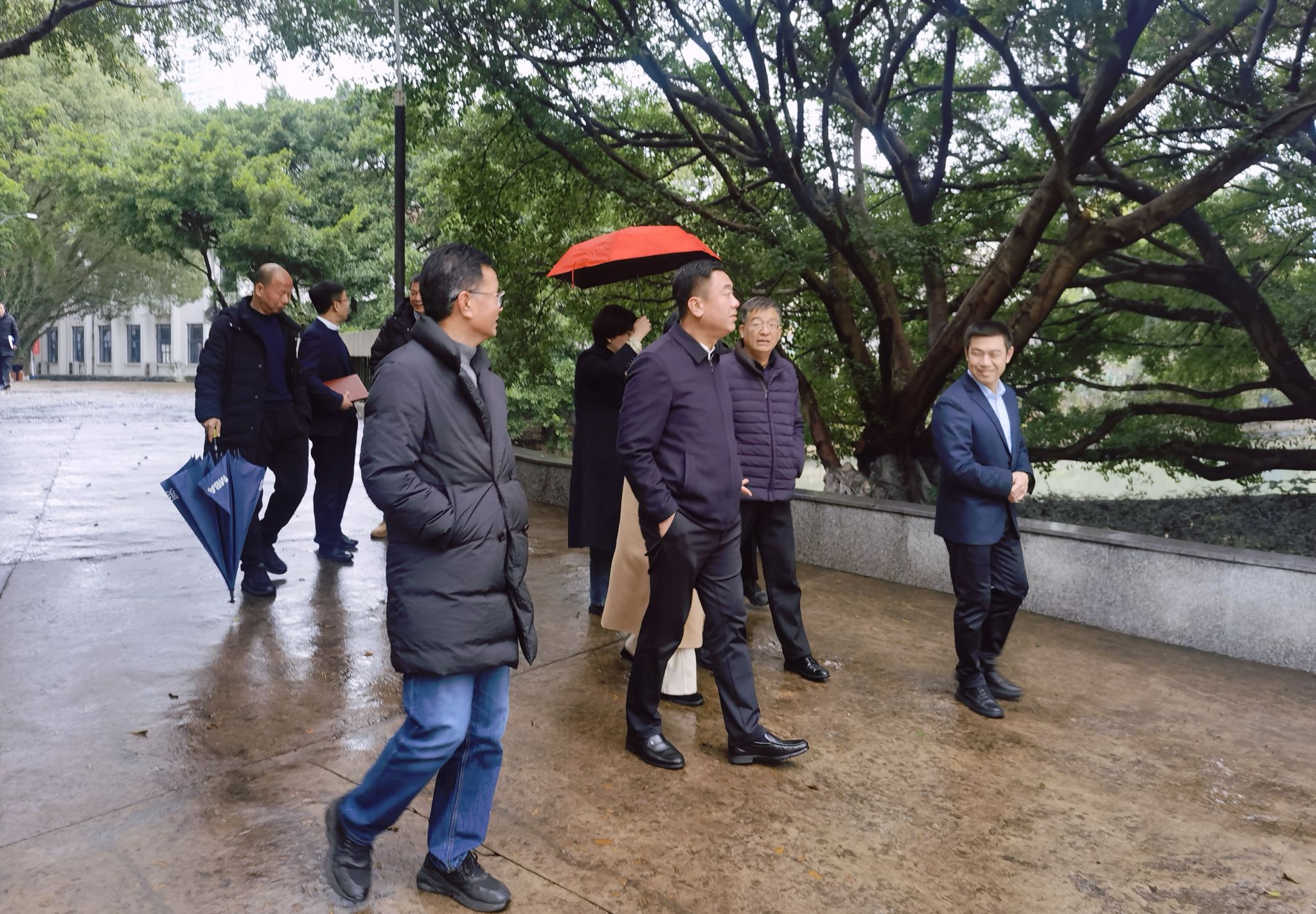 3ccf2fb65e6fafcd1828bd25456b0b7