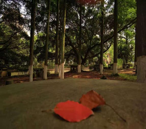 tmp_121bbae75449ae4d78216b87ccef12b858bfe8f2483a5764